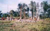 Orphanage - November 2004