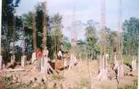 Orphanage - November 2004